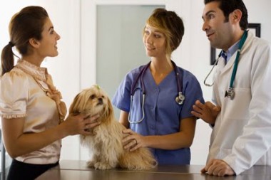 Kỹ sư thú y (BSTY): mức lương của 1 BSTY khoảng 10-15tr/tháng